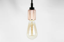 Luminaria Coral